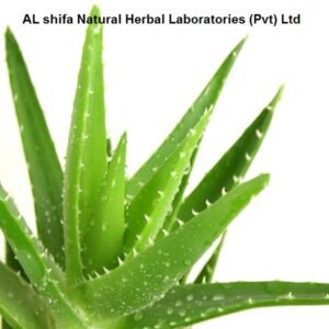 Aloe vera Var, kawar Gandal