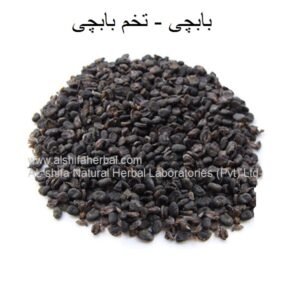 Babchi Seeds