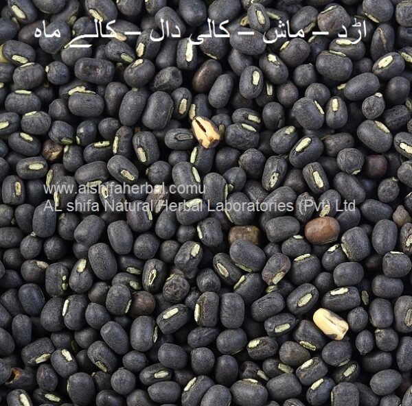 Urad Mash, Black Gram