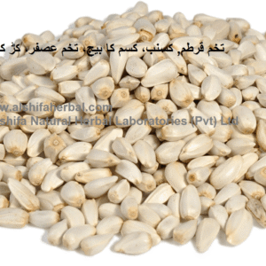 Tukhm-e-Qurtum, Safflower Seeds
