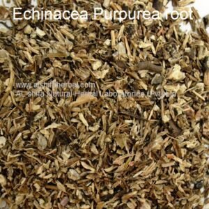 Echinacea augustifolia