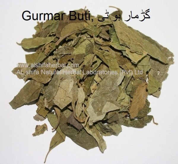 Gurmar Buti, Gymnema - Image 3