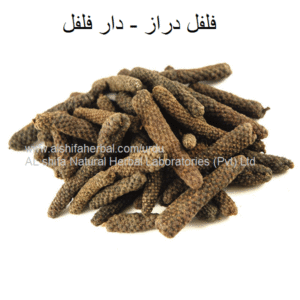 Filfil Daraz, Long Pepper