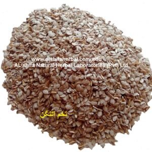 Tukhme Utangan, Acanthus Seeds