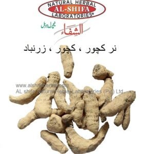 Nar kachur, Wild Turmeric