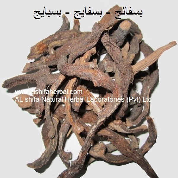 Bisfayej, Polypody Root - Image 2