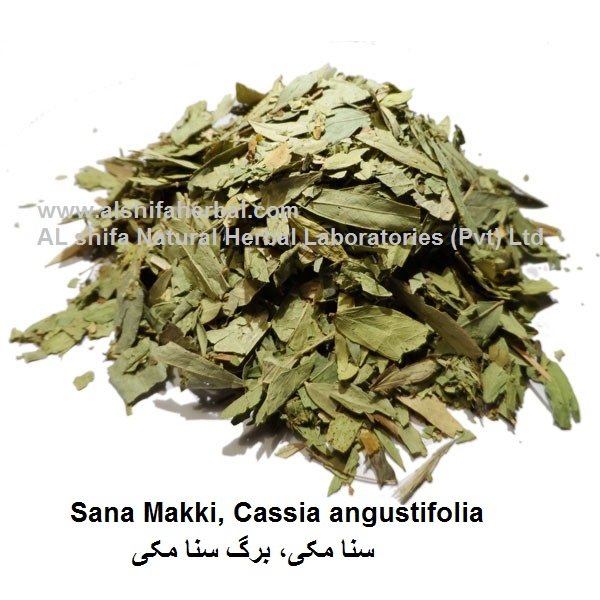 Sana Makki, Cassia angustifolia - Image 3