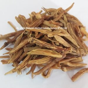 Satawar, Asparagus racemosus