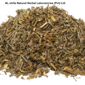 Wormwood, Afsanteen Roomi, Mugwort
