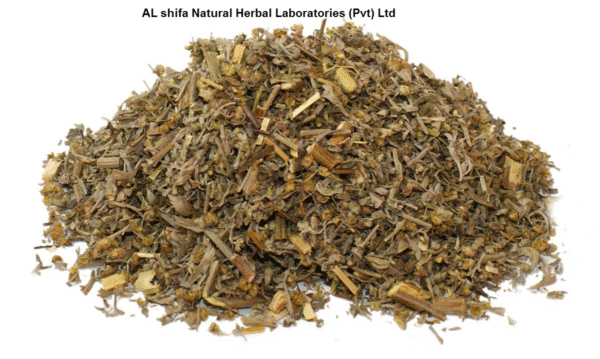 Wormwood, Afsanteen Roomi, Mugwort