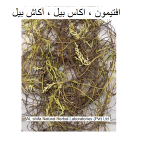 Aftimoon, (Cuscuta reflexa) (Dodder)