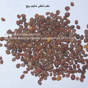 Shalgam, Turnip, Seed
