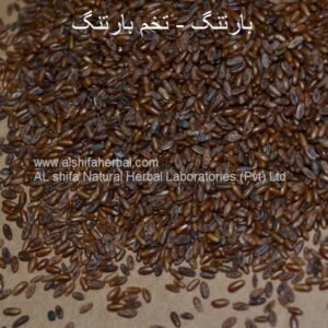 Bartang, Broadleaf Plantain
