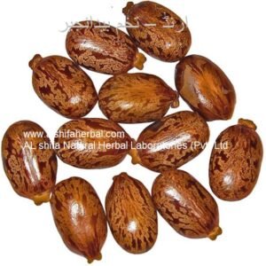 Arand, Arind, Castor Bean