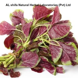 Cholai, Amaranthus mangostanus Linn