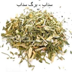 Berge Saddab, Garden Rue