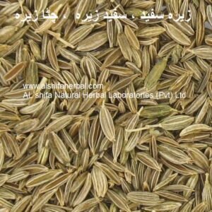 Zeera Safed, Cumin Seeds