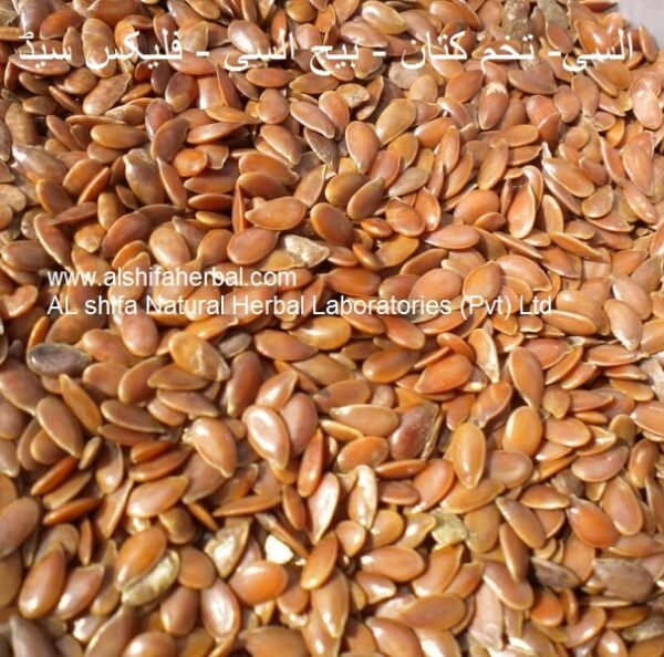 Tukhm-e-Alsi, Flaxseed - Image 4
