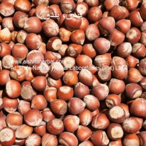 Findaq, Hazelnut