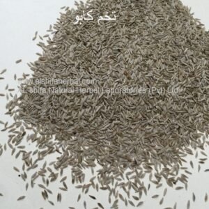 Tukhm-e-Kahu, Lettuce Seeds