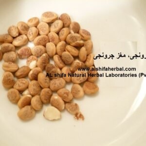Chironji, Cuddapah Almond