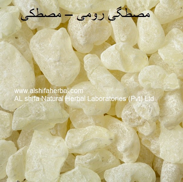 Mastagi Rumi, Mastic - Image 3