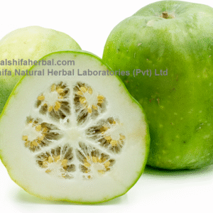Petha, Winter Melon