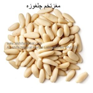 Chilghoza, Pine Nuts