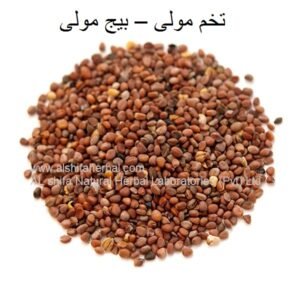 Tukhm-e-Mooli, Radish Seeds