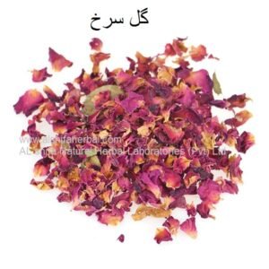 Gul surkh, Gulab, Rose