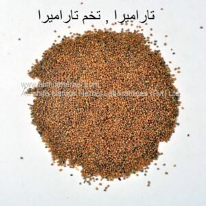 Tukhm-e-Tara Mera, Arugula Seeds